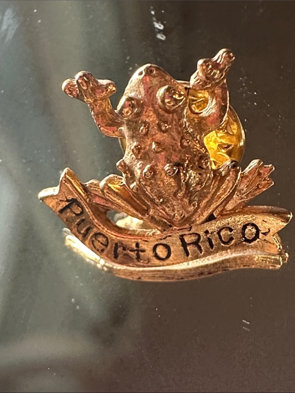 Puerto Rico Gold-Tone Frog Souvenir Lapel Pin